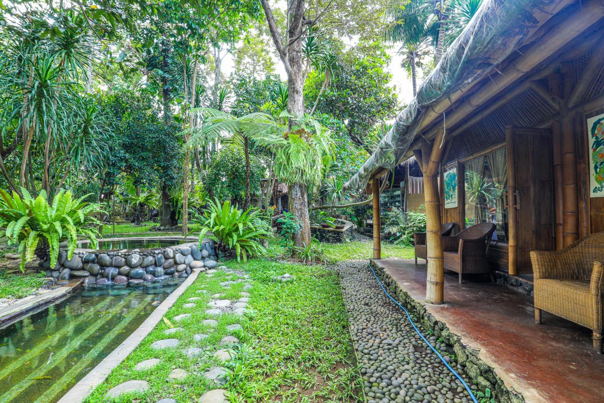 Omunity Bali Hotel Singaraja Buitenkant foto