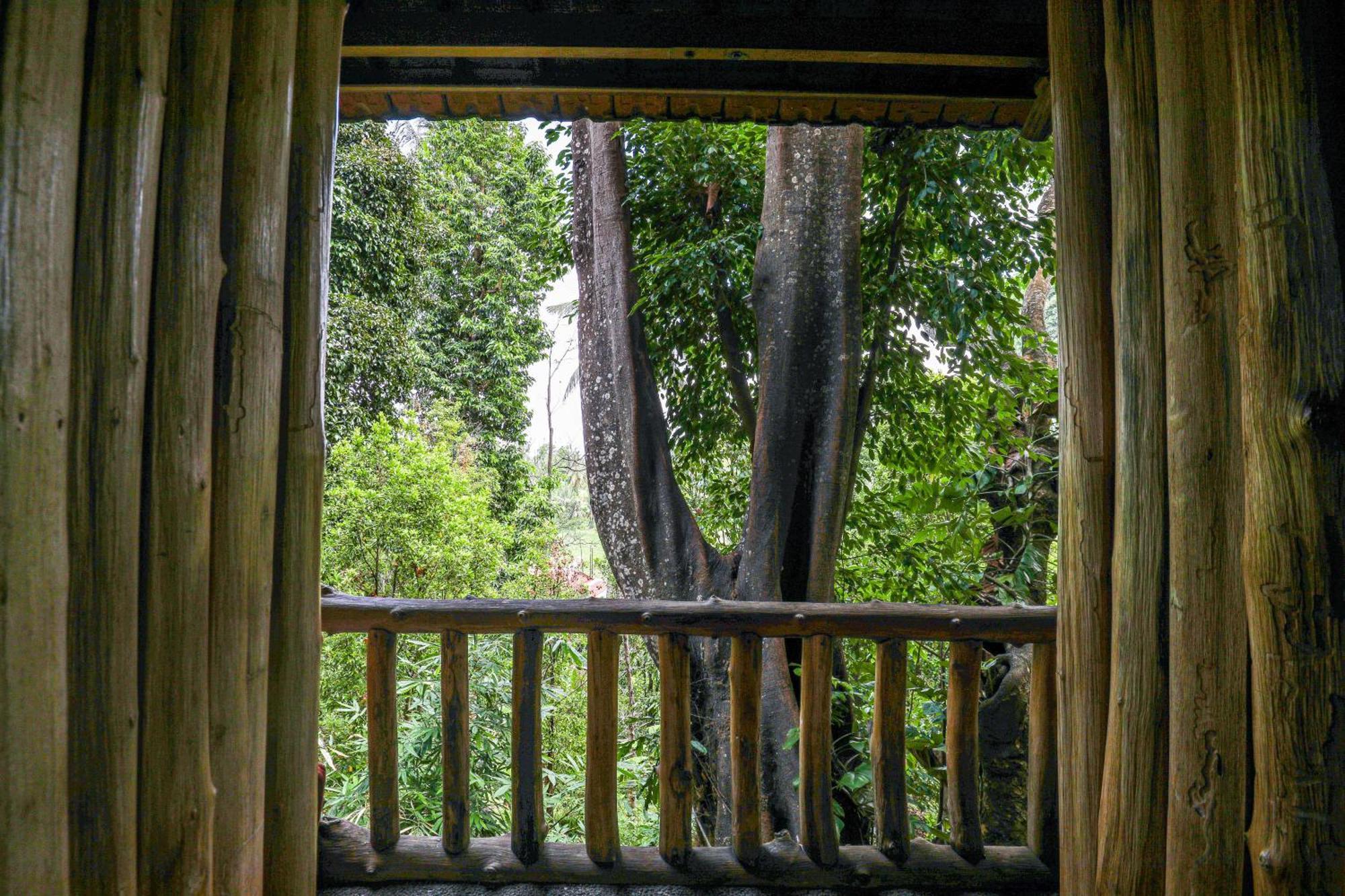 Omunity Bali Hotel Singaraja Buitenkant foto