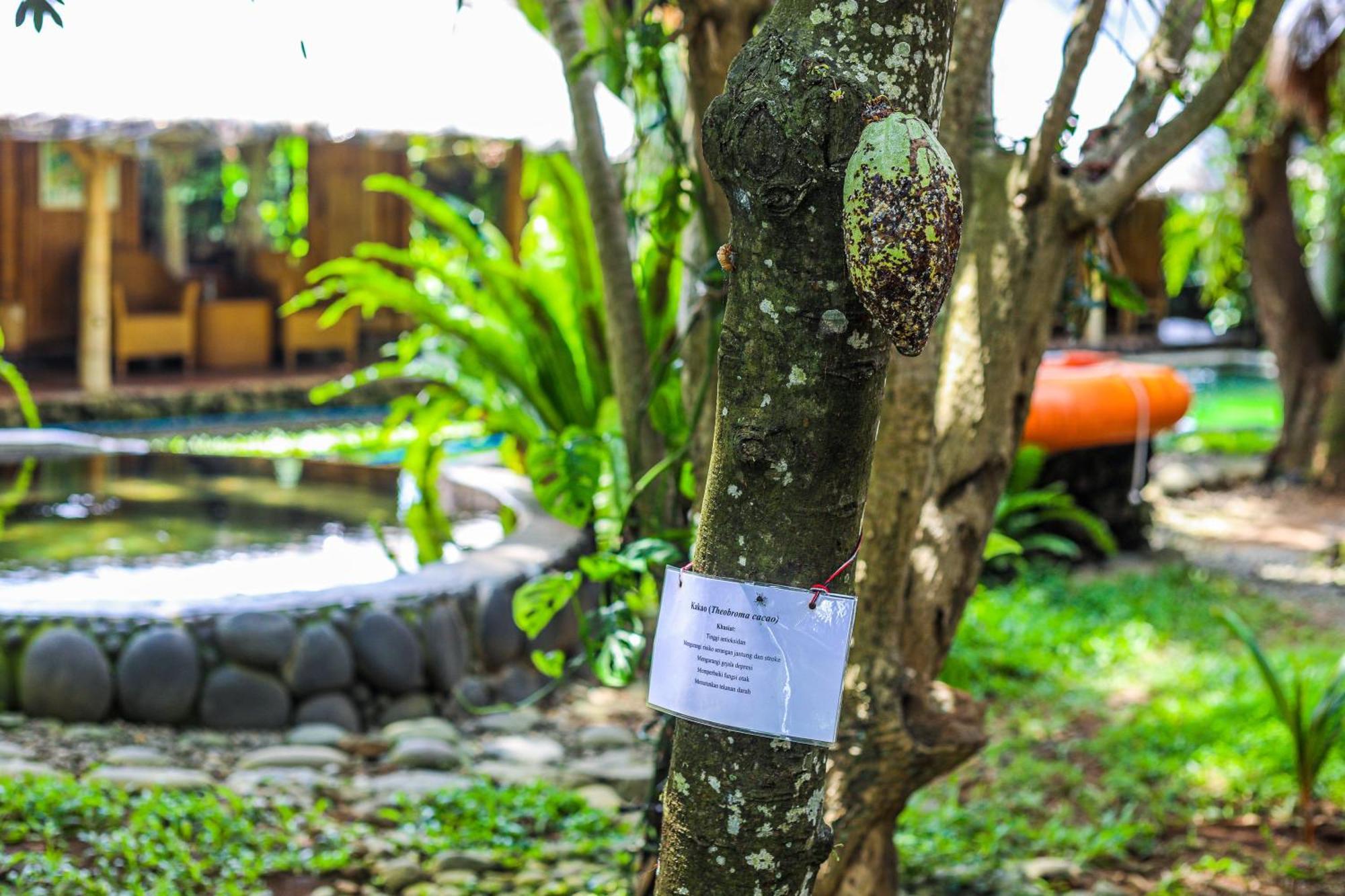 Omunity Bali Hotel Singaraja Buitenkant foto