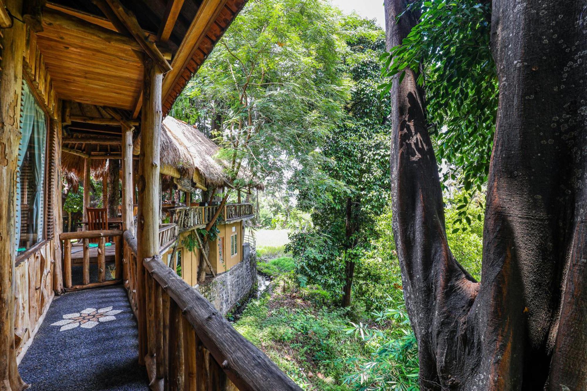 Omunity Bali Hotel Singaraja Buitenkant foto